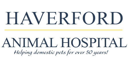 Haverford Animal Hospital